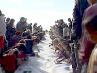 oil_painting/callupart/callupart_before_2attempt/manhatan-exb-2001/manhatan-exb-2001-eng.htm
